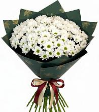 Букет цветов из:  Хризантемы в Тырети 1-й