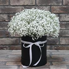 Цветочная композиция из Гипсофила в шляпной коробке в Тырети 1-й